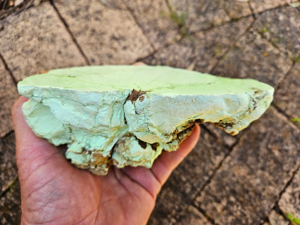 Polished Lime Magnesite specimen. MAP208