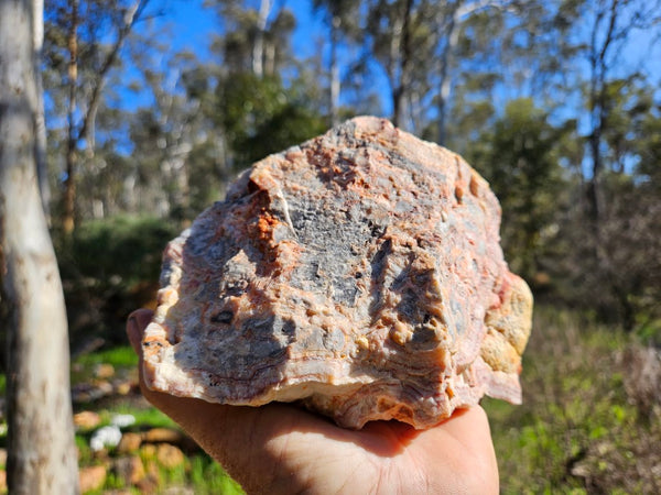 Crazy Lace Agate rough.  CLR 118