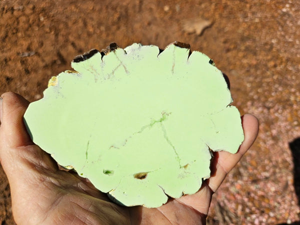 Polished Magnesite slab. MAP210