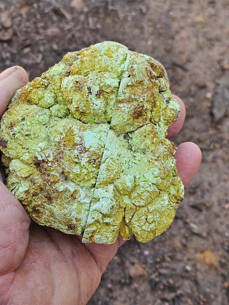 Pair of polished Magnesite halves. MAP209