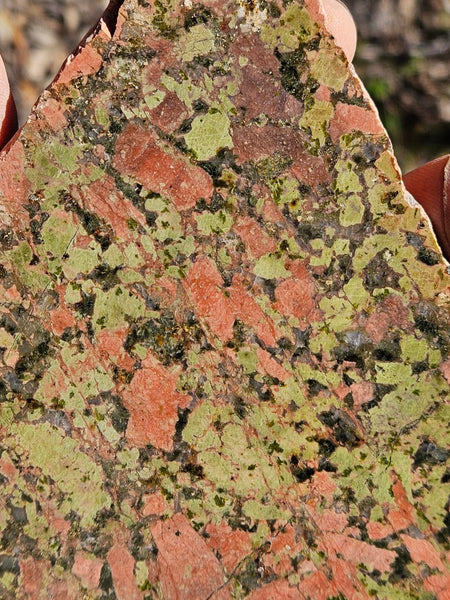 Polished Unakite slab U114