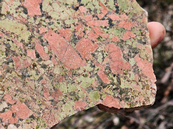 Polished Unakite slab U114