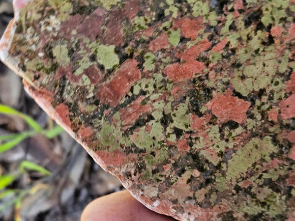 Polished Unakite slab U114