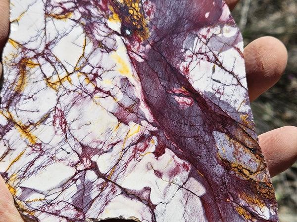 Polished Mookaite slab MK506