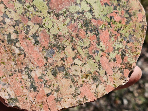 Polished Unakite  U115