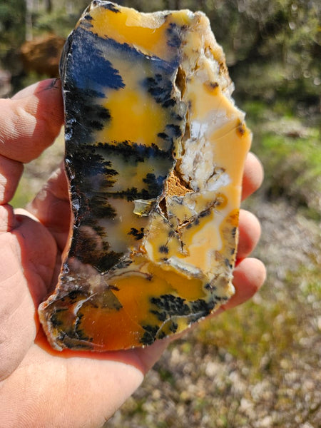 Polished Dendritic Opal slab DO207