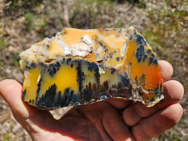 Polished Dendritic Opal slab DO207