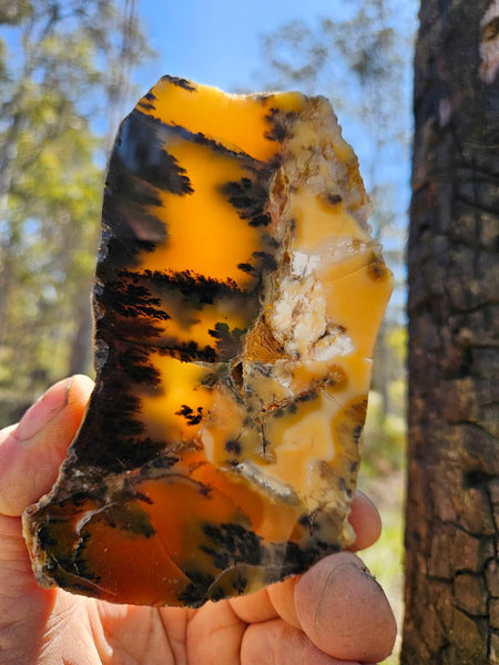 Polished Dendritic Opal slab DO207