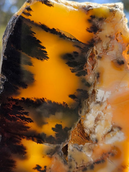 Polished Dendritic Opal slab DO207