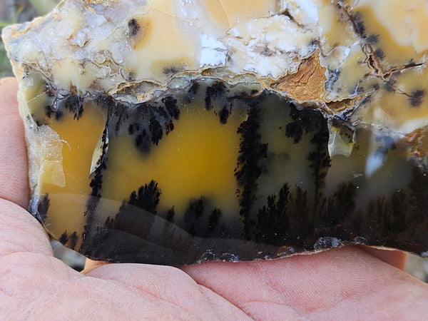 Polished Dendritic Opal slab DO207