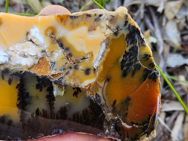 Polished Dendritic Opal slab DO207