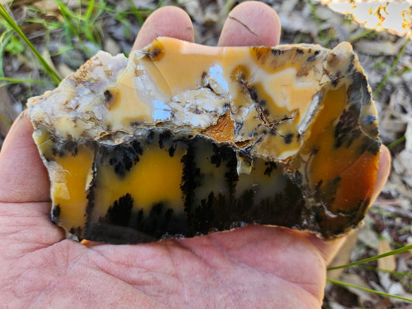 Polished Dendritic Opal slab DO207