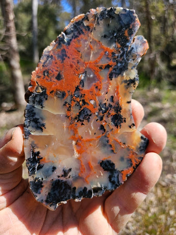 Polished Dendritic Opal slab DO208