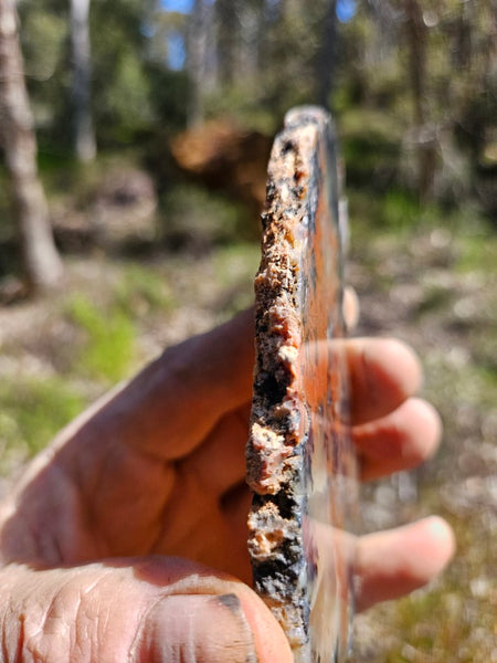 Polished Dendritic Opal slab DO208