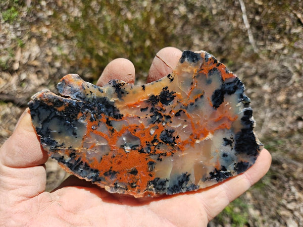 Polished Dendritic Opal slab DO208