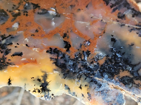 Polished Dendritic Opal slab DO208