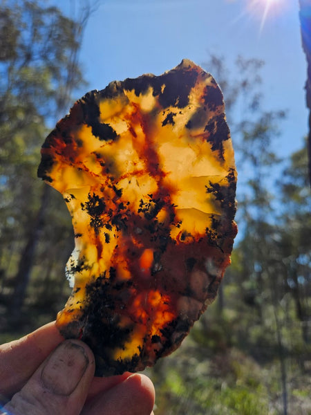 Polished Dendritic Opal slab DO208