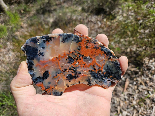 Polished Dendritic Opal slab DO208