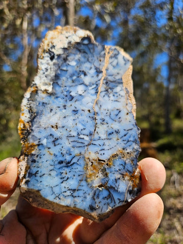 Polished Dendritic Opal slab DO205