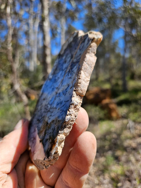 Polished Dendritic Opal slab DO205