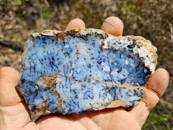 Polished Dendritic Opal slab DO205