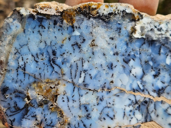 Polished Dendritic Opal slab DO205