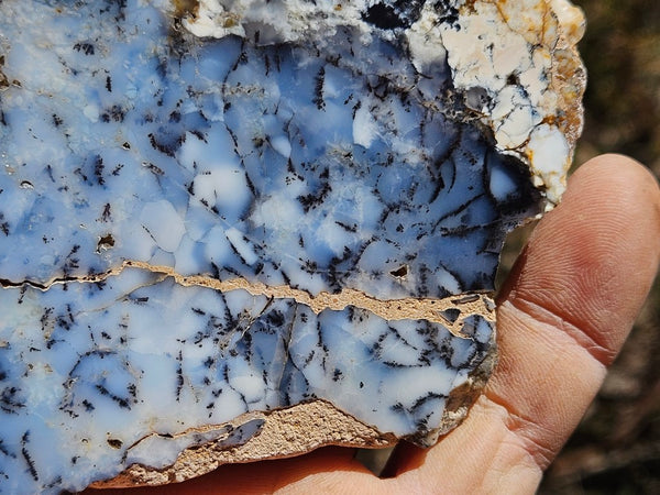 Polished Dendritic Opal slab DO205