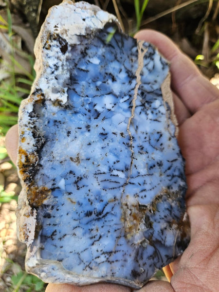 Polished Dendritic Opal slab DO205