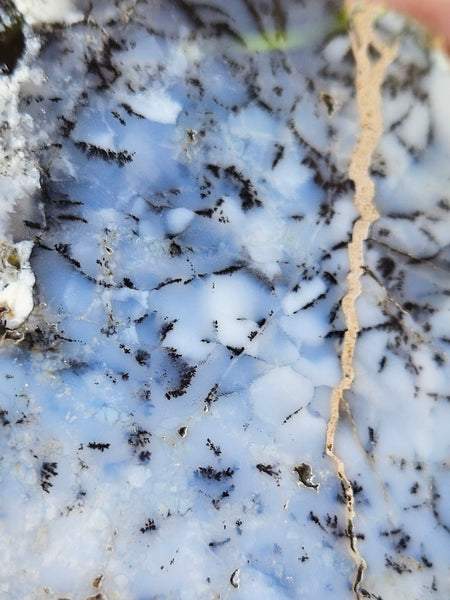 Polished Dendritic Opal slab DO205