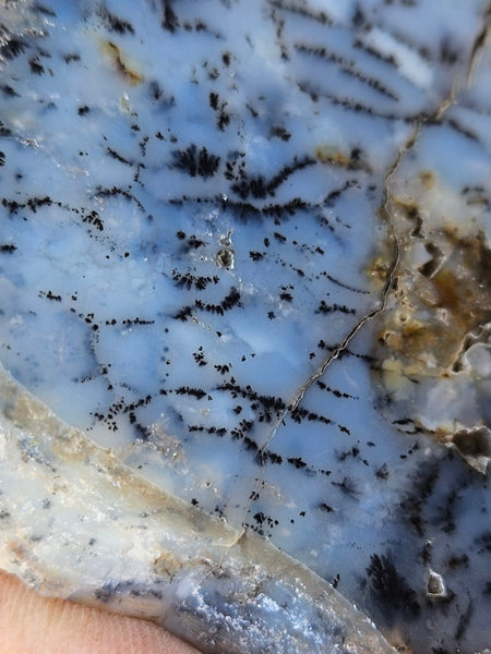 Polished Dendritic Opal slab DO205