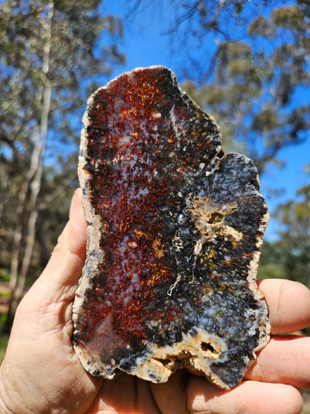 Polished Dendritic Opal slab DO206