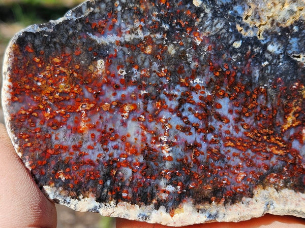 Polished Dendritic Opal slab DO206