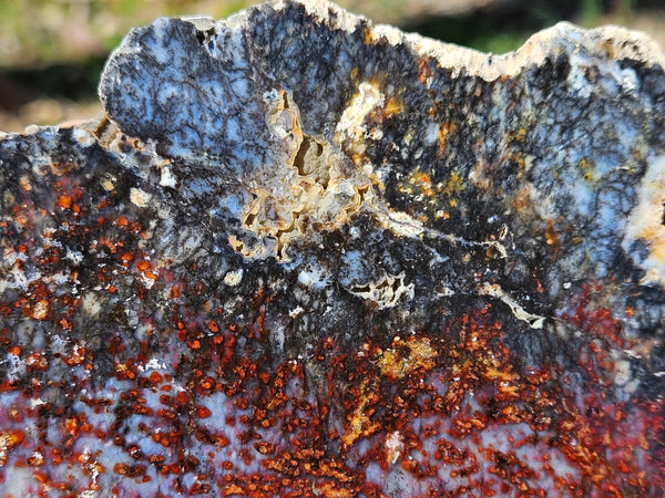 Polished Dendritic Opal slab DO206