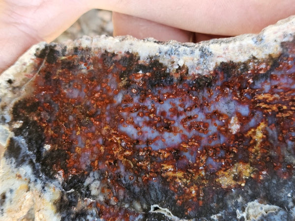 Polished Dendritic Opal slab DO206