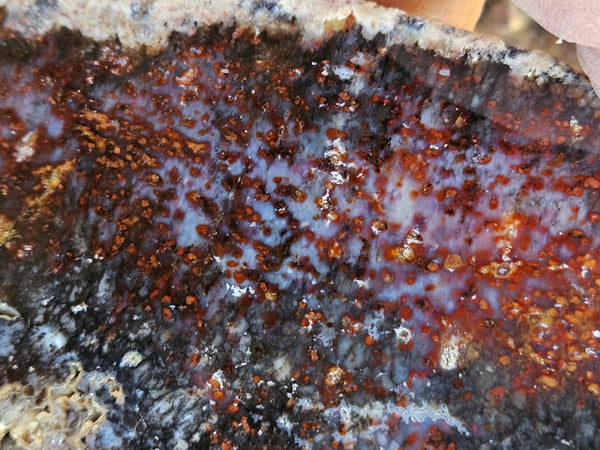 Polished Dendritic Opal slab DO206