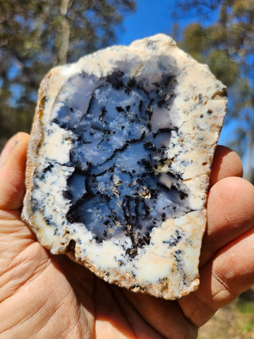 Polished Dendritic Opal DO209