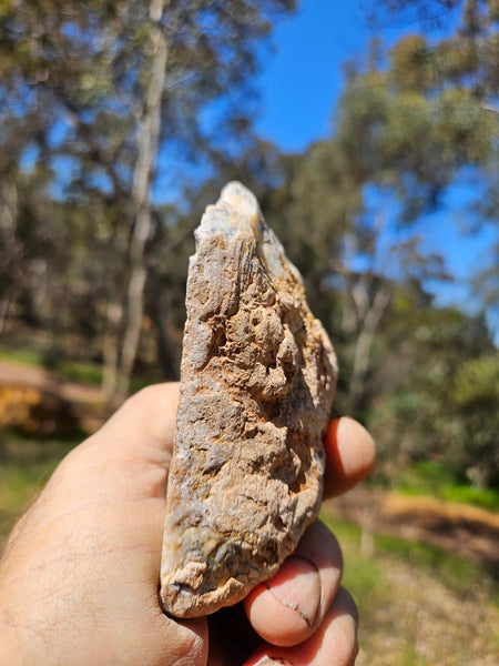 Polished Dendritic Opal DO209