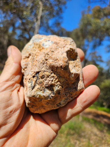 Polished Dendritic Opal DO209