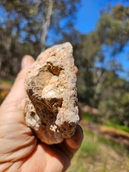 Polished Dendritic Opal DO209