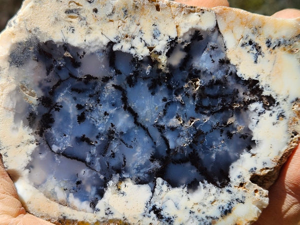 Polished Dendritic Opal DO209