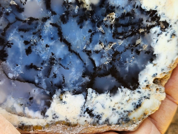 Polished Dendritic Opal DO209