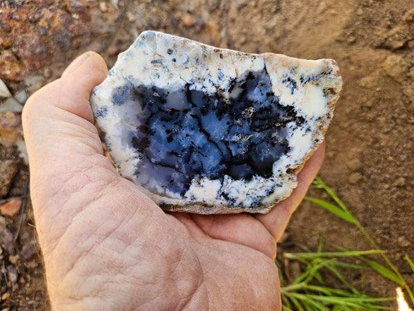 Polished Dendritic Opal DO209