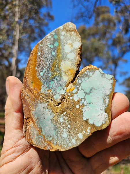 Variscite Polished Slab.  VP 279