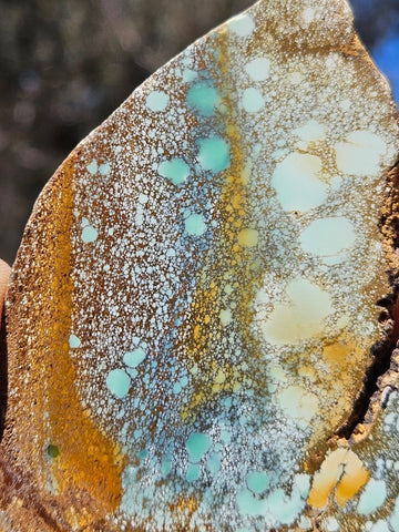 Variscite Polished Slab.  VP 279