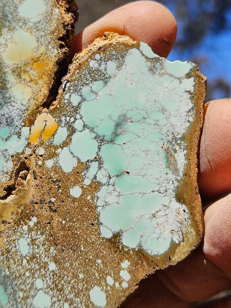 Variscite Polished Slab.  VP 279