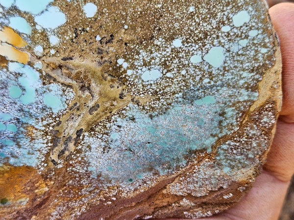 Variscite Polished Slab.  VP 279