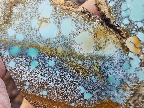 Variscite Polished Slab.  VP 279