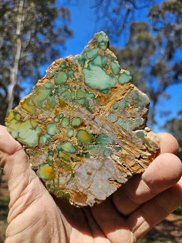 Variscite Polished Slab.  VP 280