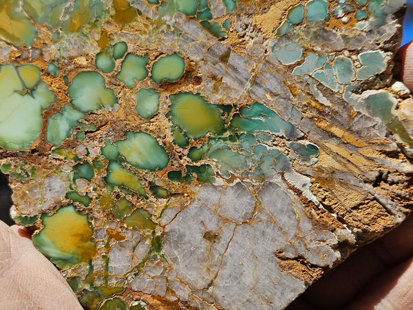 Variscite Polished Slab.  VP 280