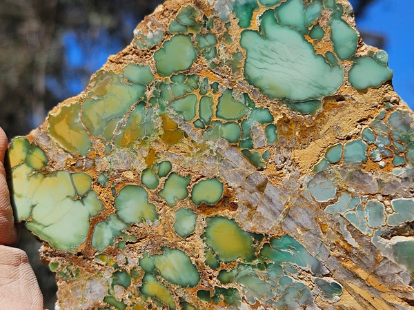 Variscite Polished Slab.  VP 280